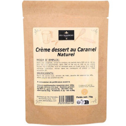 Crème dessert au Caramel