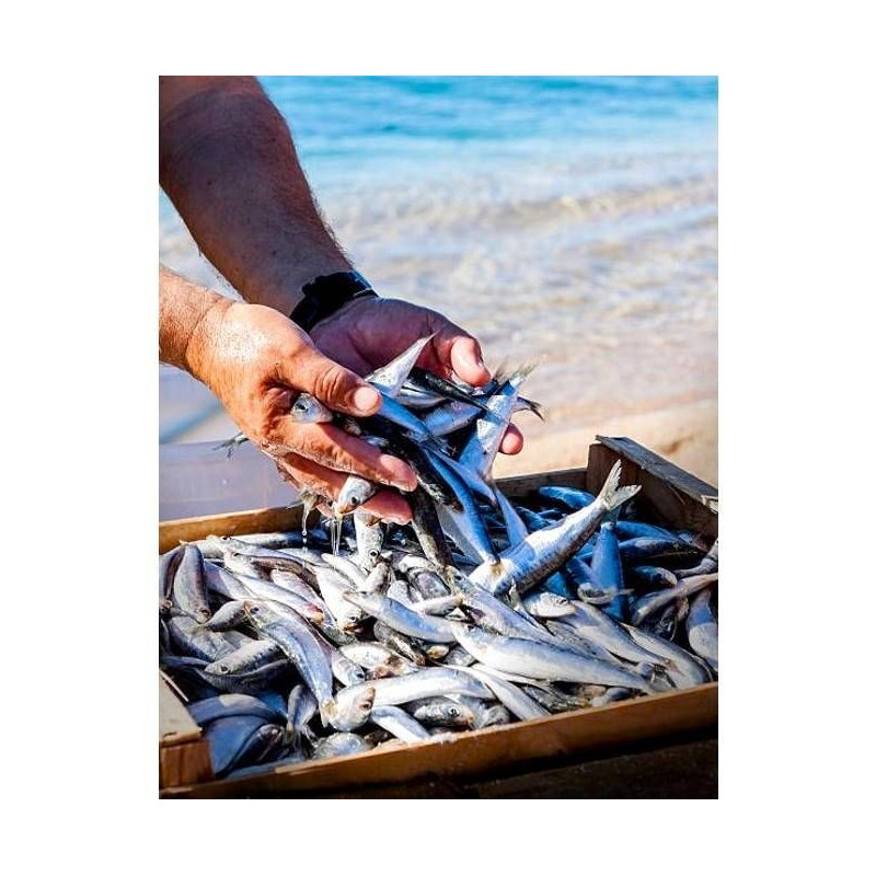 Sardines Millésimées 2019 Gonidec - 115g