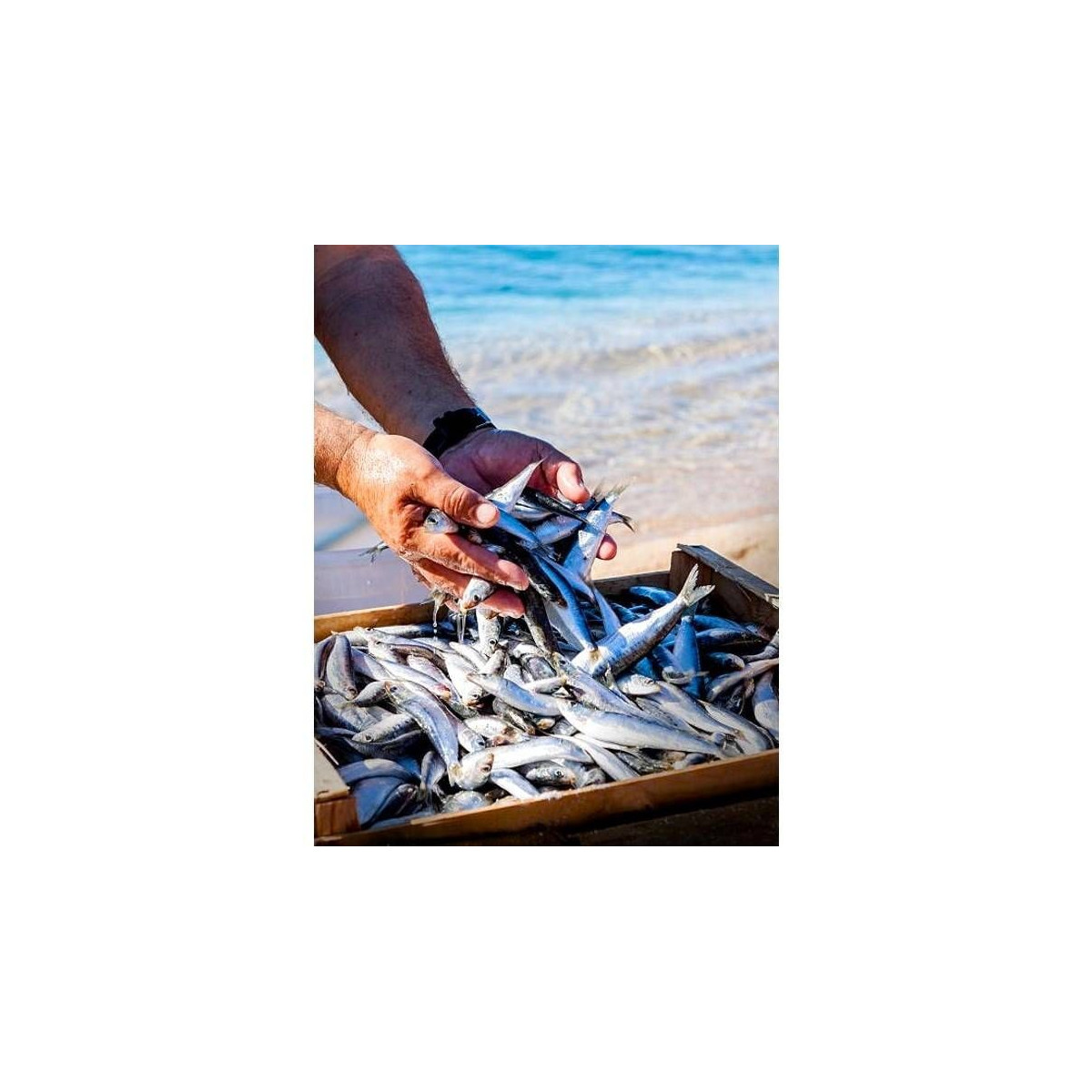 Sardines Millésimées 2019 Gonidec - 115g