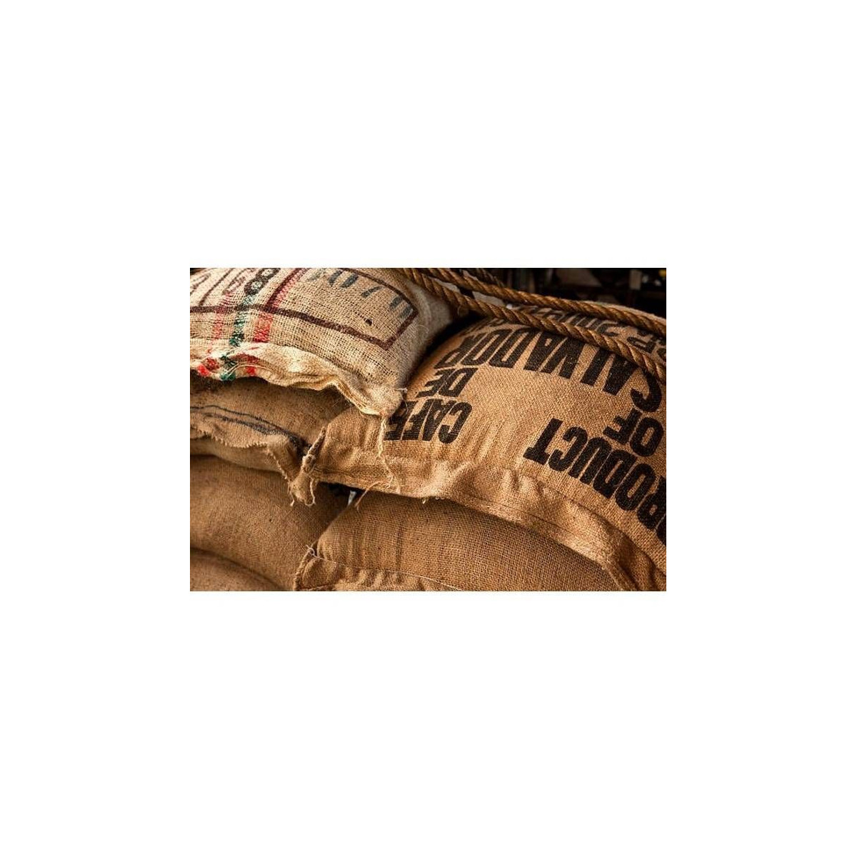 Café de Colombie Excelso en grain